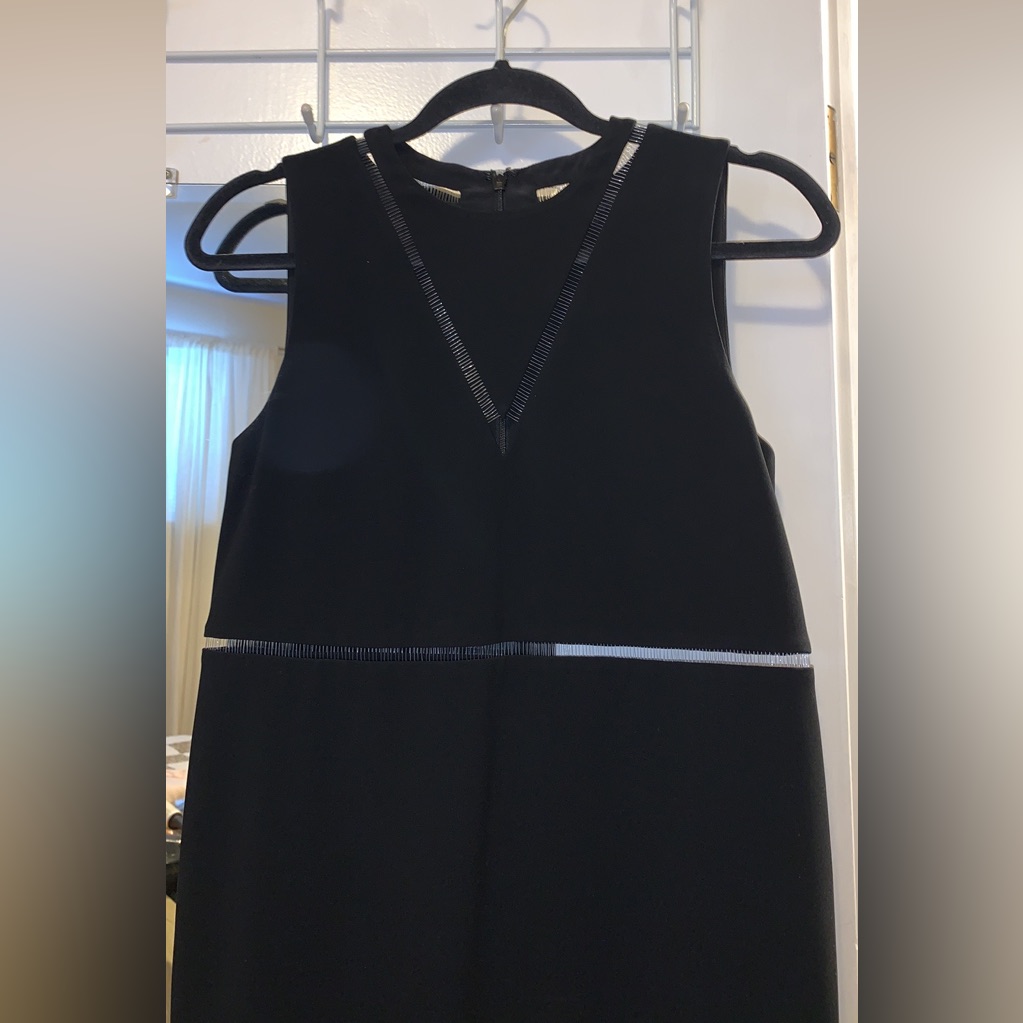 Alexander Wang Shift Dress